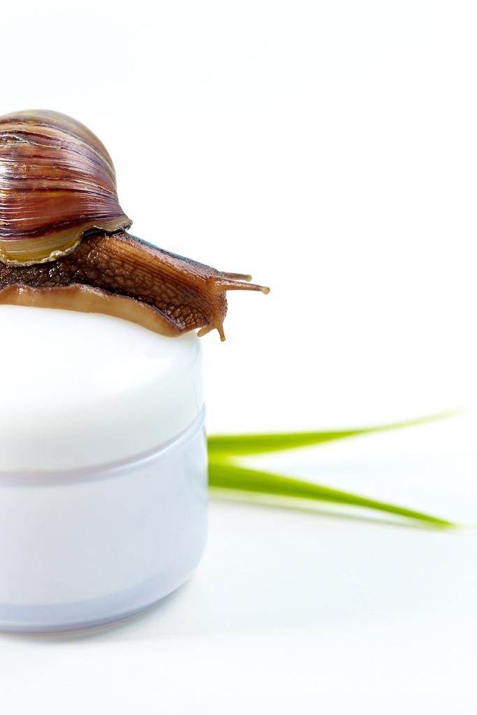 Korean cosmetics: snail slime cream for the wrinkles, scars and acne