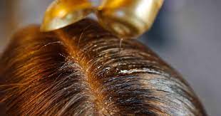 Redken Diamond Oil – Expert on hair beautifying